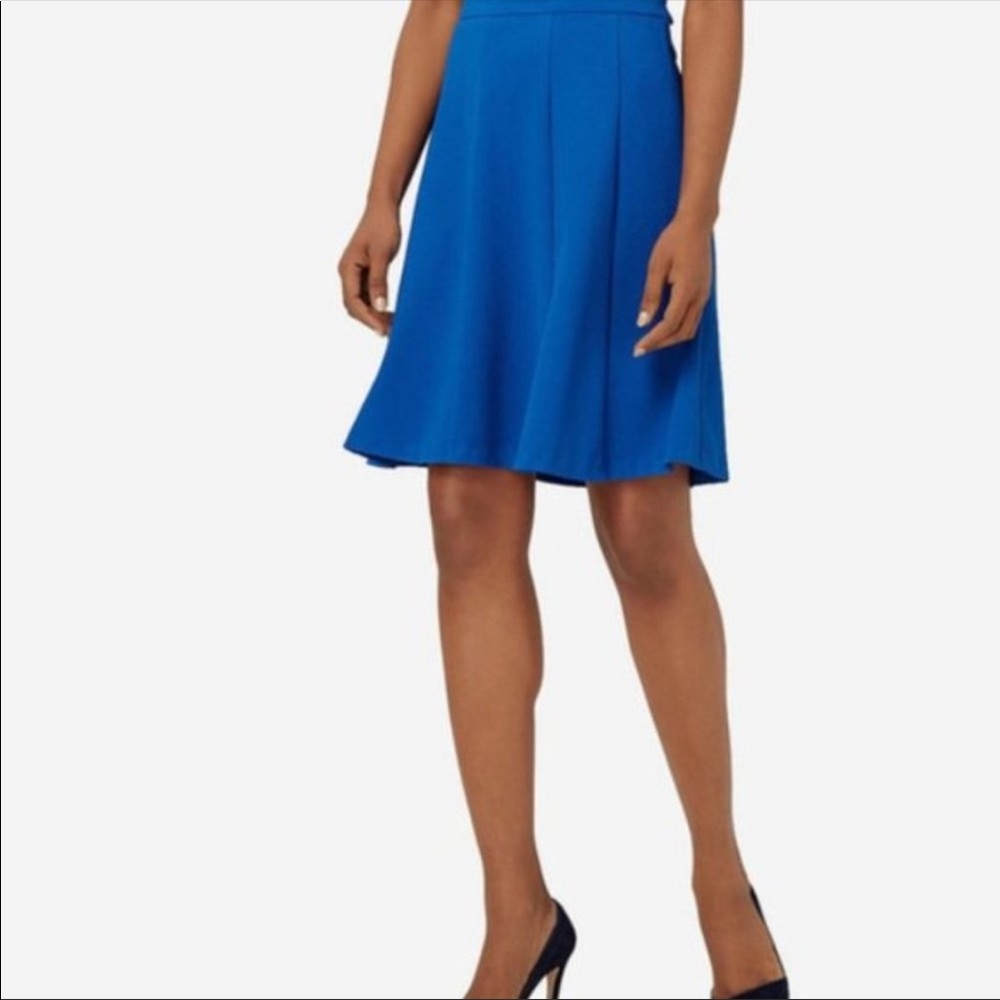 NWT Beautiful Work Skirt From The Limited Never worn!!!! With Tags!!!!